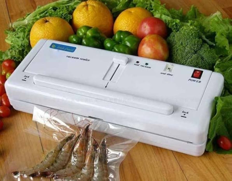 DZ300-A Household Vacuum Sealing Machine