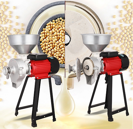 Electric Grain Spice Wet and Dry Grinder
